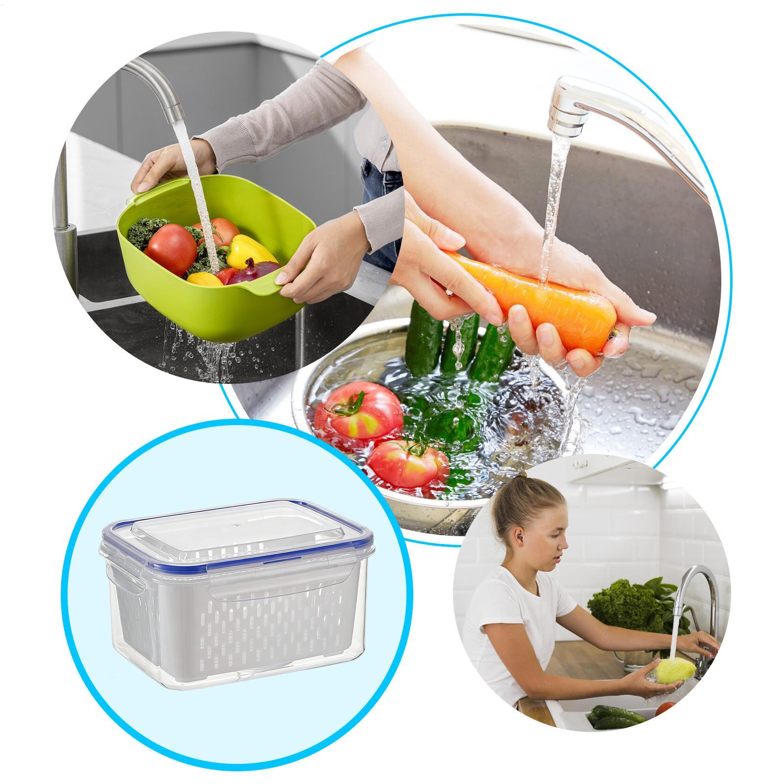 4 in 1 식품 보관 용기 4 in 1 누수 방지 투 - Food Storage Refrigerator 리뷰 및 가격