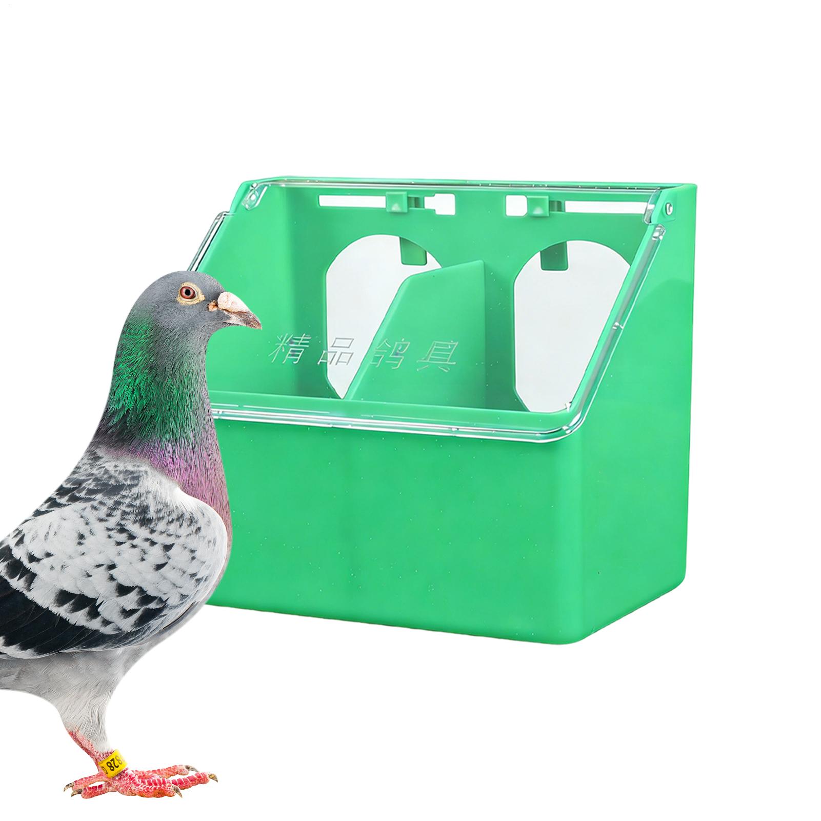 새 모이통 걸이형 케이지 박스 자동 급식기 대용량 사료 - Xxl Food Storage Container 리뷰 및 가격